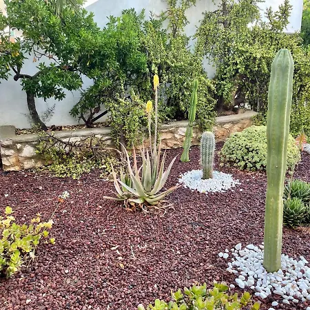 Mossenyer Villa San Antonio (Ibiza)