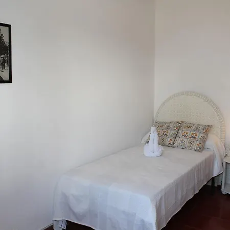 Mossenyer San Antonio (Ibiza)